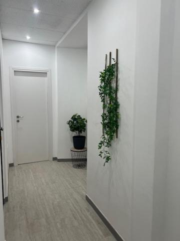 Residence Morena 罗马 外观 照片